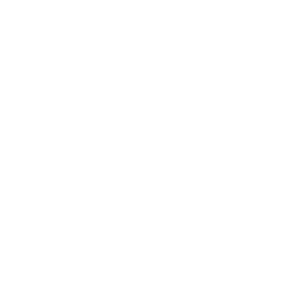 Bliobi Logo